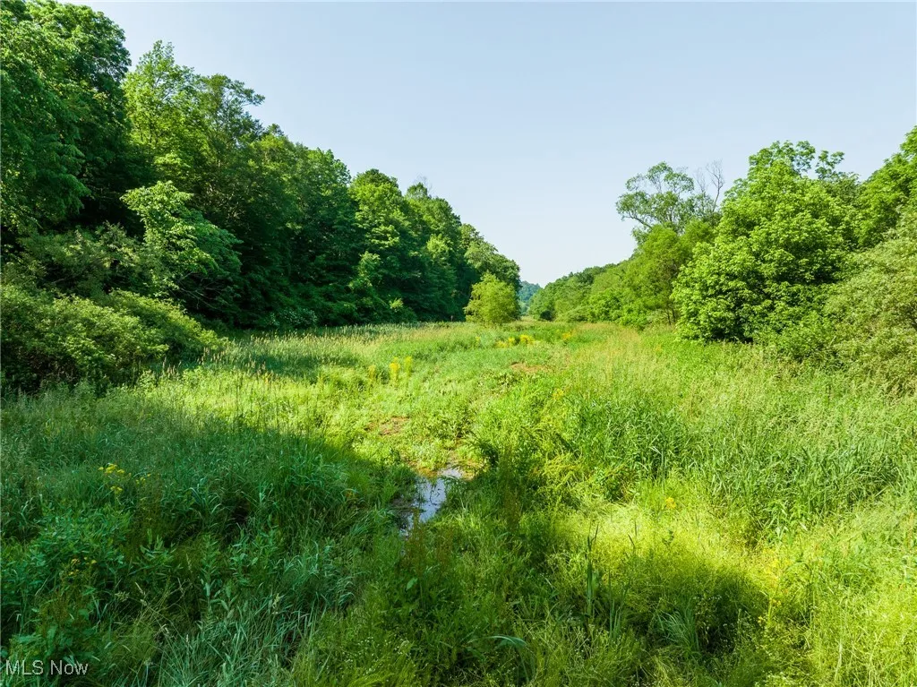 View of woods