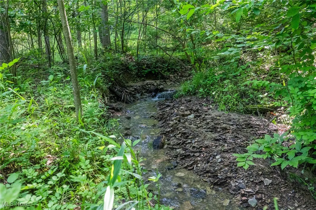 View of undeveloped land