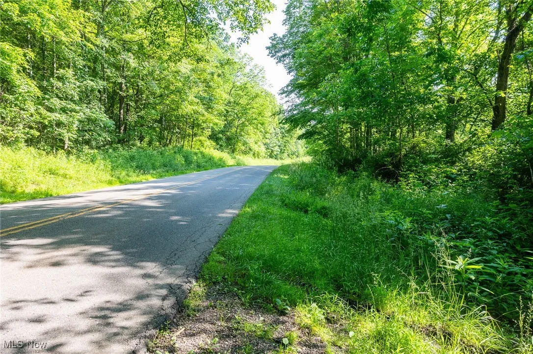 View of asphalt road with a view of trees