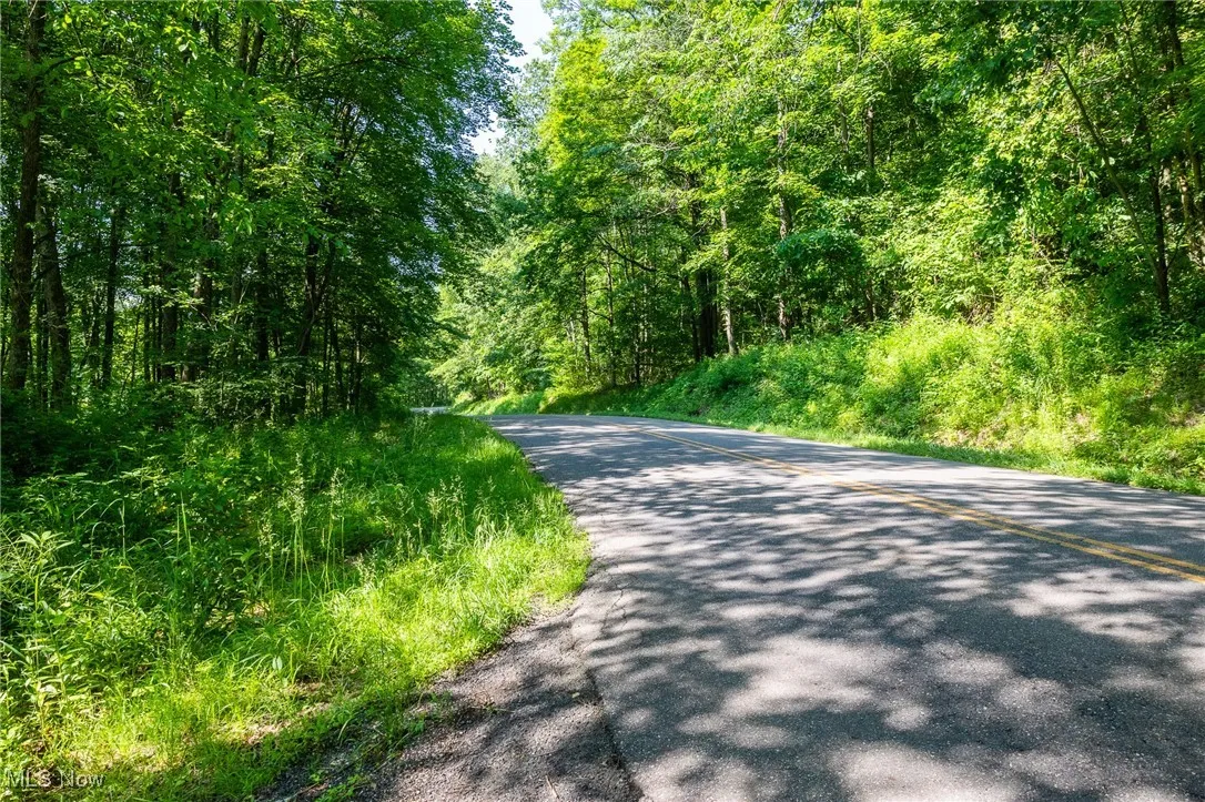 View of asphalt road featuring a view of trees