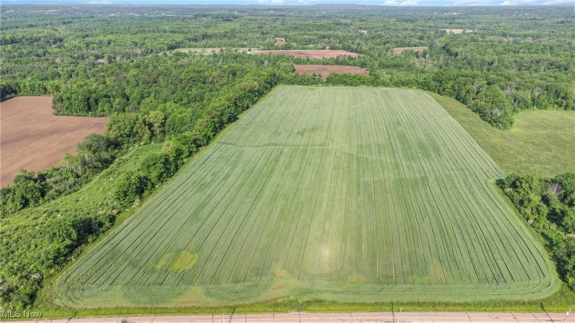 Drone / aerial view of a heavily wooded area