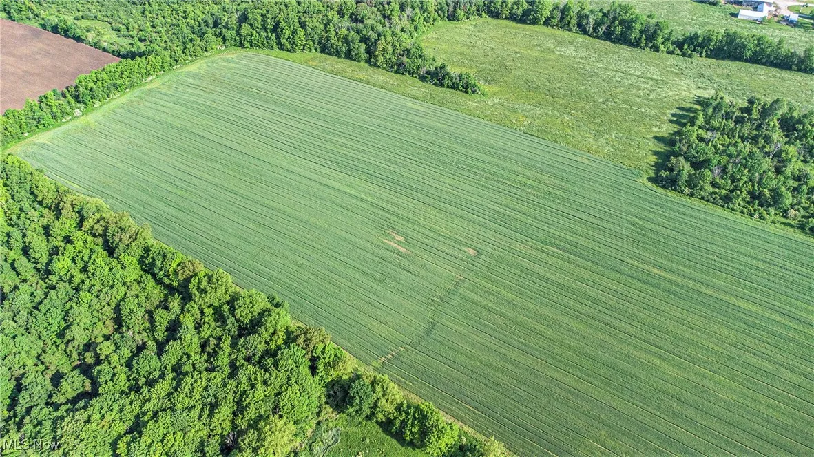 Aerial view of property's location