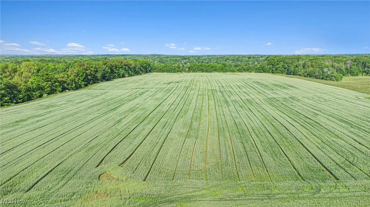 Drone / aerial view of a heavily wooded area