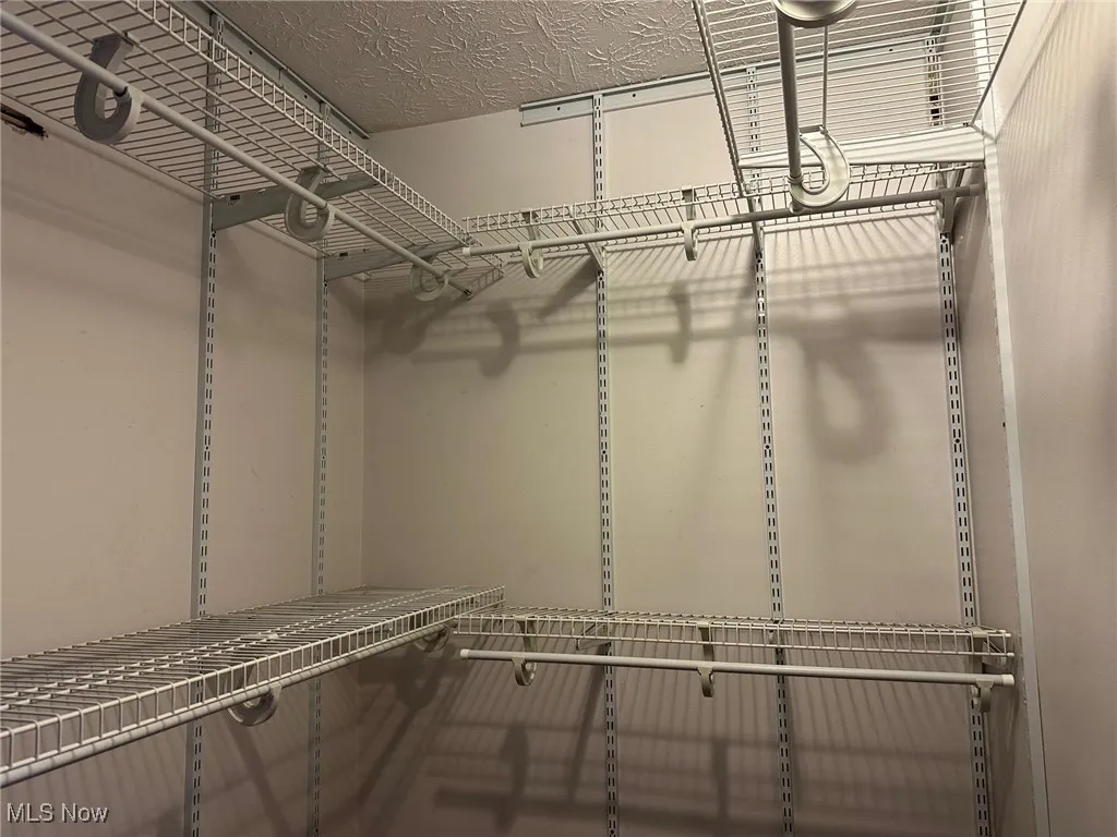Walk-in Primary closet