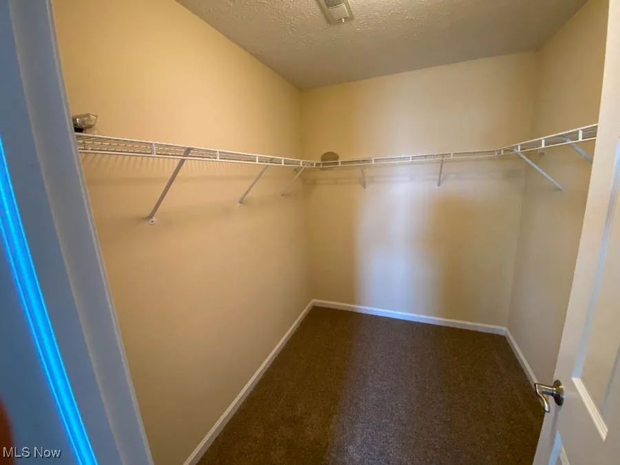 Spacious closet with carpet flooring