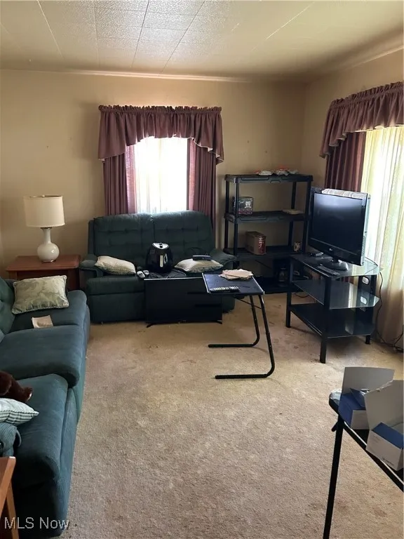 Carpeted living room featuring plenty of natural light