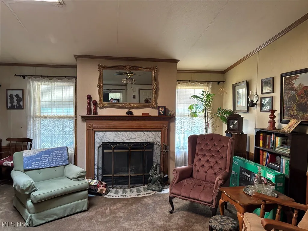 Living area featuring carpet flooring, ornamental molding, a premium fireplace, and a ceiling fan