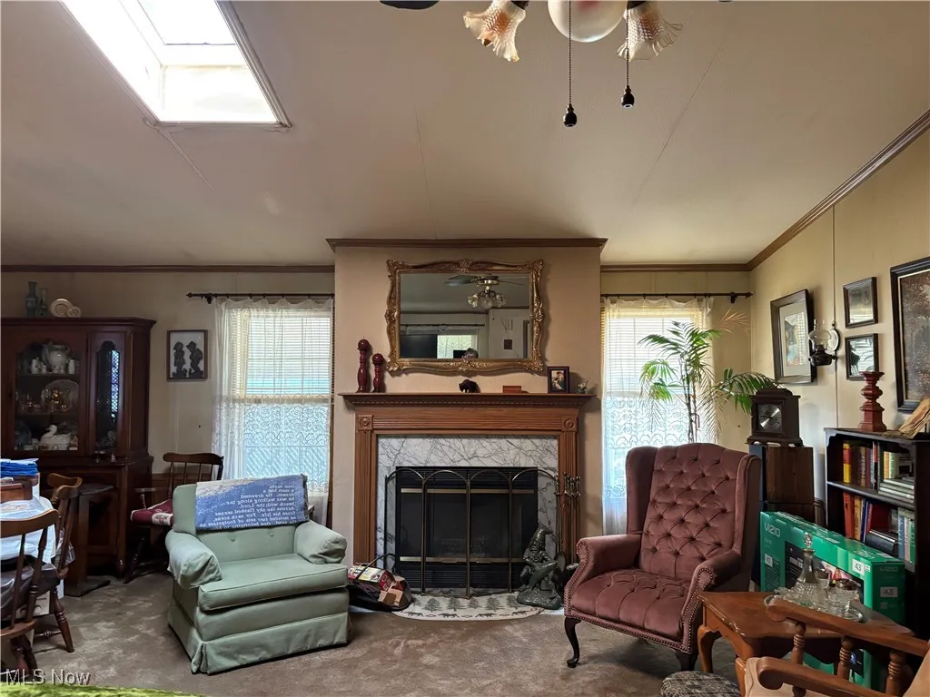 Carpeted living room featuring healthy amount of natural light, ornamental molding, a premium fireplace, and a skylight