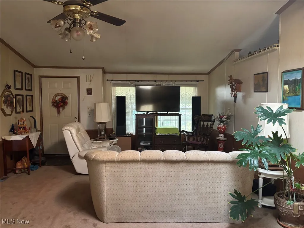 Living room featuring crown molding, ceiling fan, and carpet