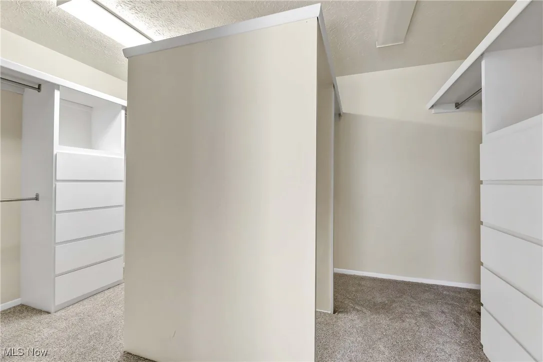 Walk in closet featuring light colored carpet in the primary suite