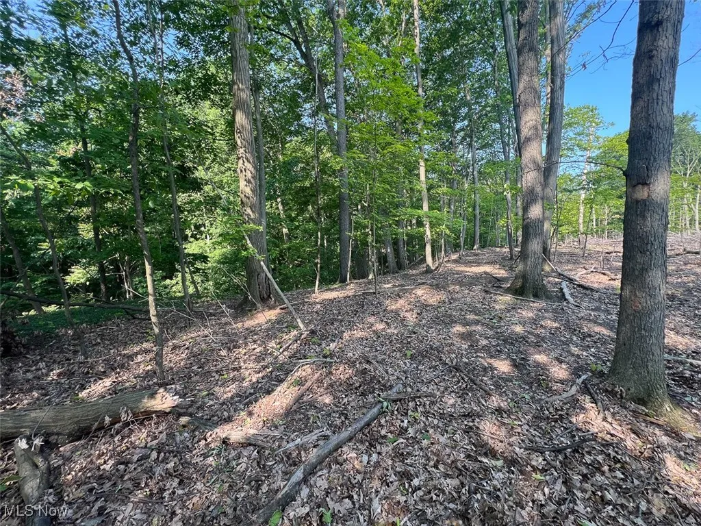 View of undeveloped land