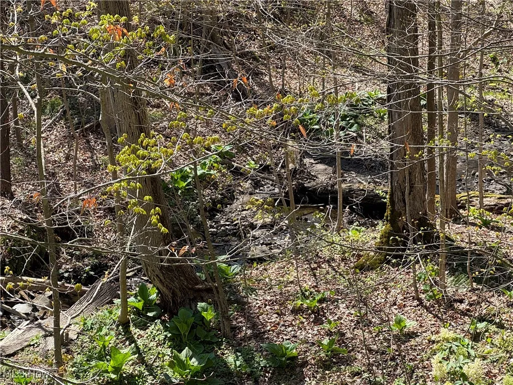 12200 Kile Road, Chardon, Ohio 44024,MLS Now Listing ID