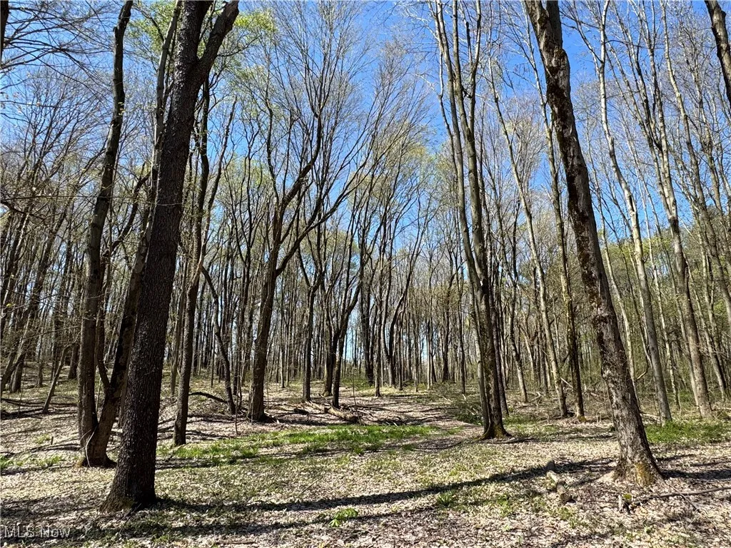 12200 Kile Road, Chardon, Ohio 44024,MLS Now Listing ID