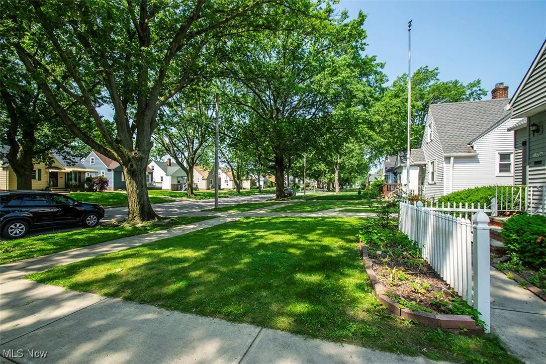 Front Yard