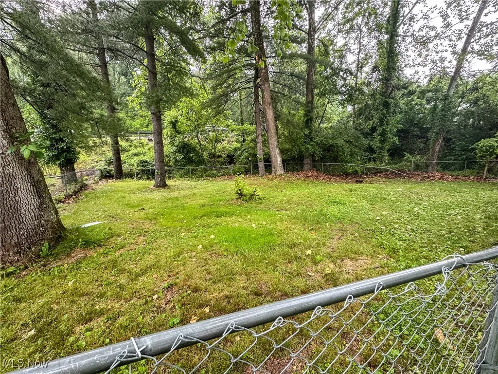 The spacious lot is partially fenced and large enough for pets or a garden plot.