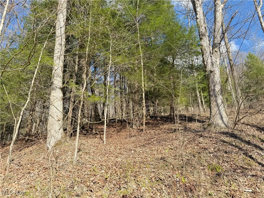 N County Road 22 A Street, Bloomingdale, Ohio,MLS Now Listing ID