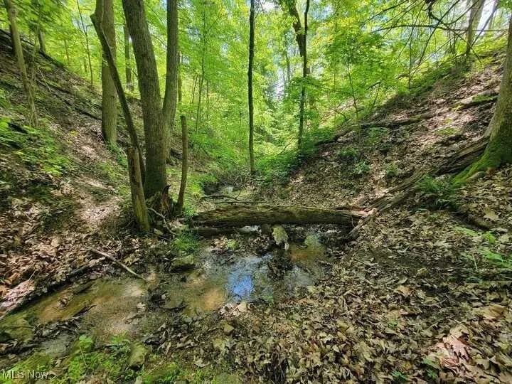 N County Road 22 A Street, Bloomingdale, Ohio,MLS Now Listing ID
