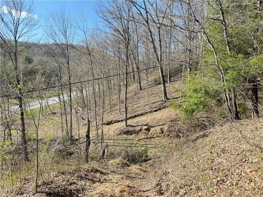 N County Road 22 A Street, Bloomingdale, Ohio,MLS Now Listing ID