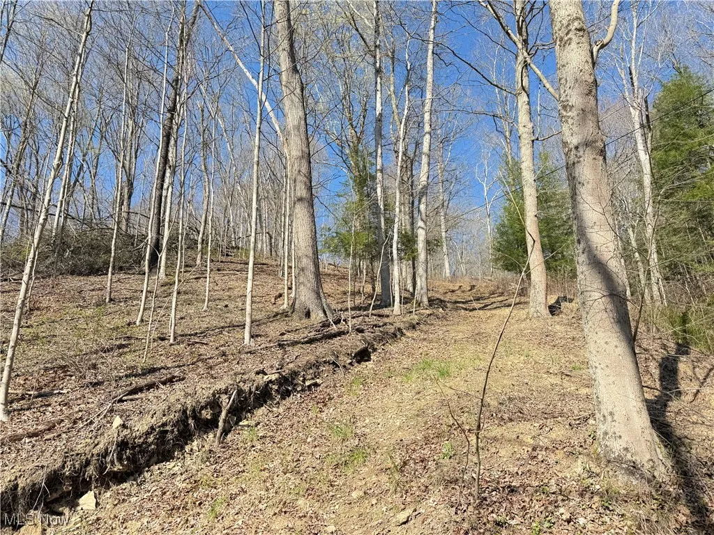 N County Road 22 A Street, Bloomingdale, Ohio,MLS Now Listing ID