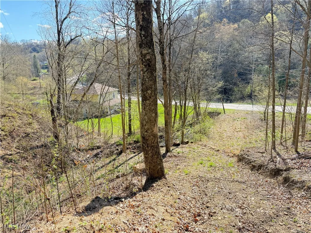 N County Road 22 A Street, Bloomingdale, Ohio,MLS Now Listing ID
