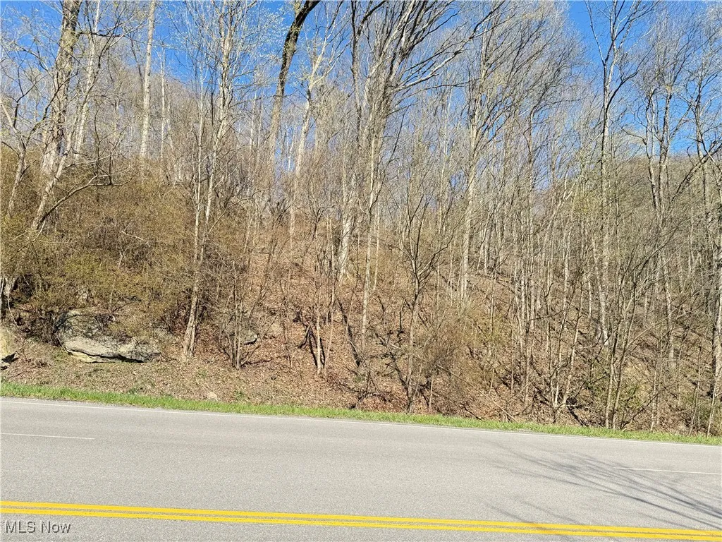 N County Road 22 A Street, Bloomingdale, Ohio,MLS Now Listing ID