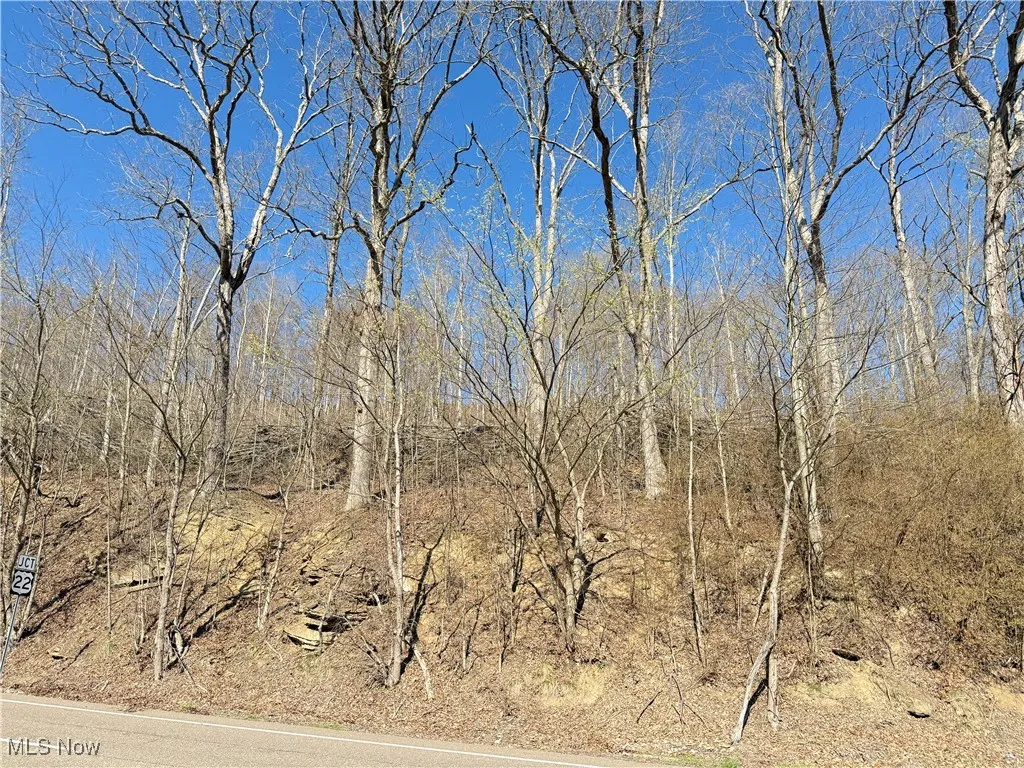 N County Road 22 A Street, Bloomingdale, Ohio,MLS Now Listing ID