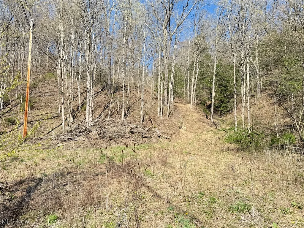 N County Road 22 A Street, Bloomingdale, Ohio,MLS Now Listing ID