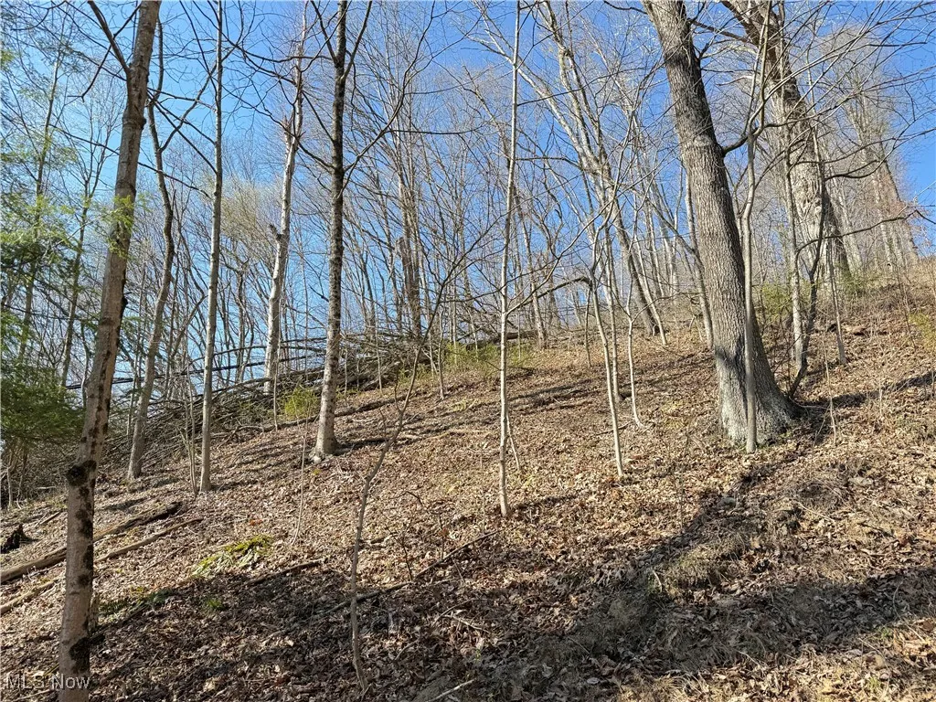 N County Road 22 A Street, Bloomingdale, Ohio,MLS Now Listing ID