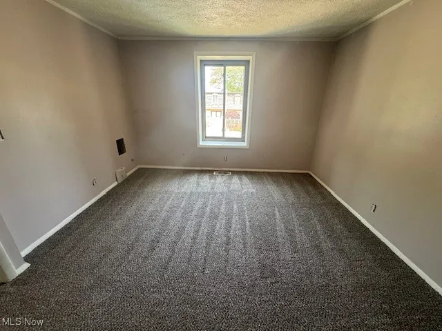 Carpeted spare room featuring a textured ceiling and crown molding