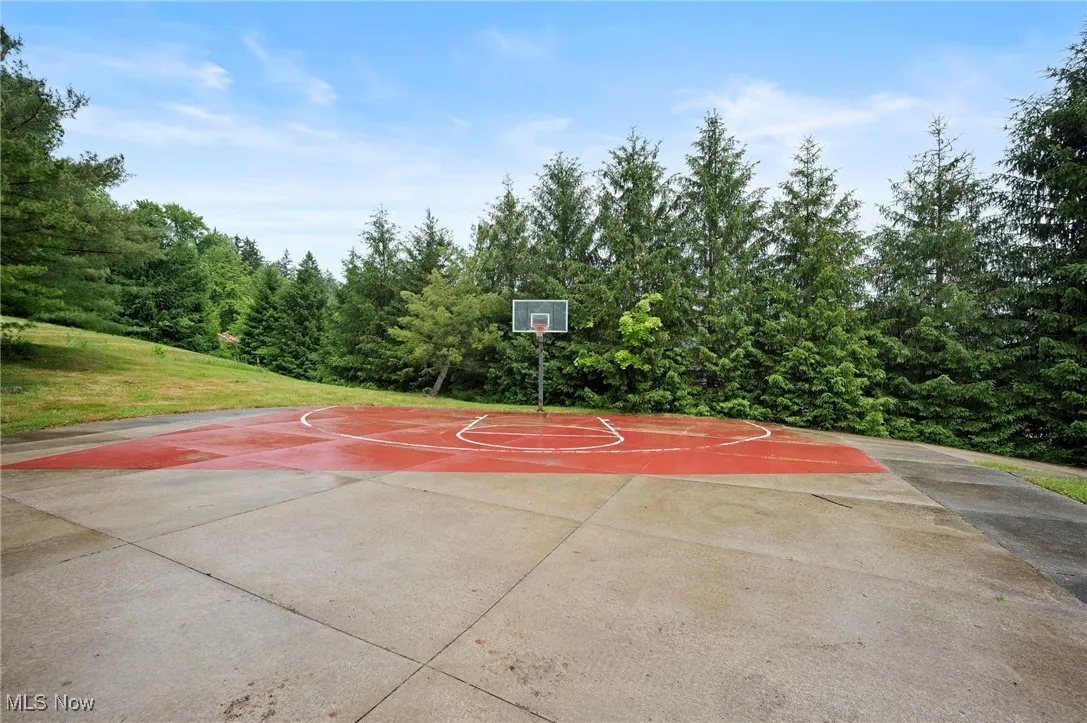 View of private basketball half court