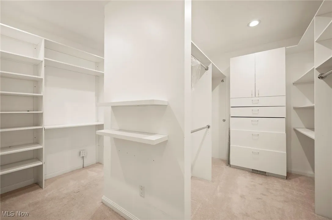 Spacious closet featuring light colored carpet