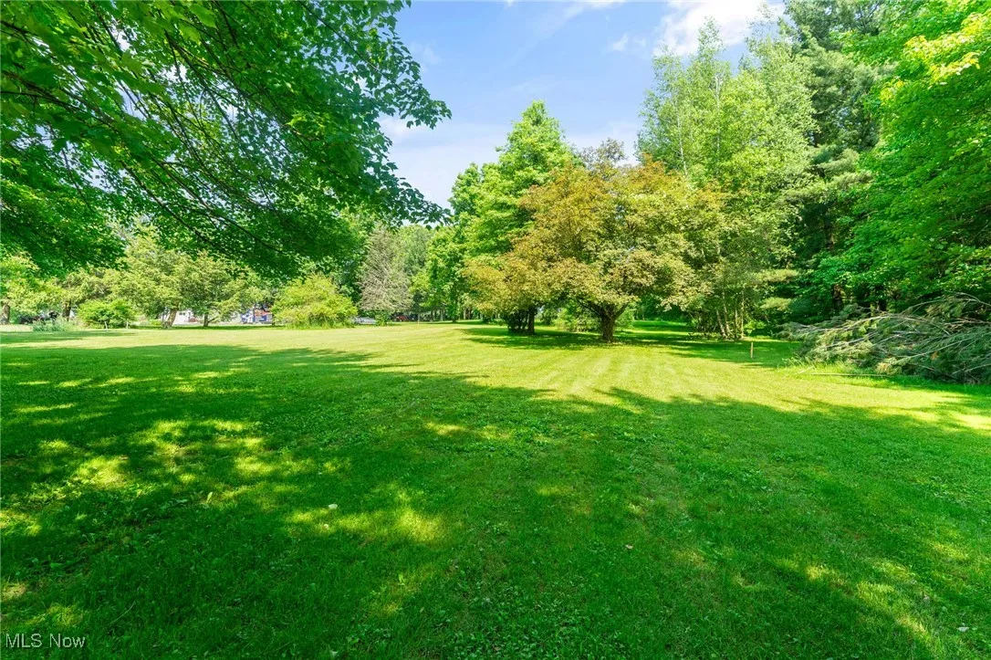 View of green lawn