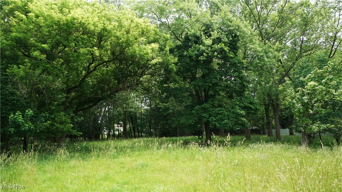 View of wooded area in back of lot