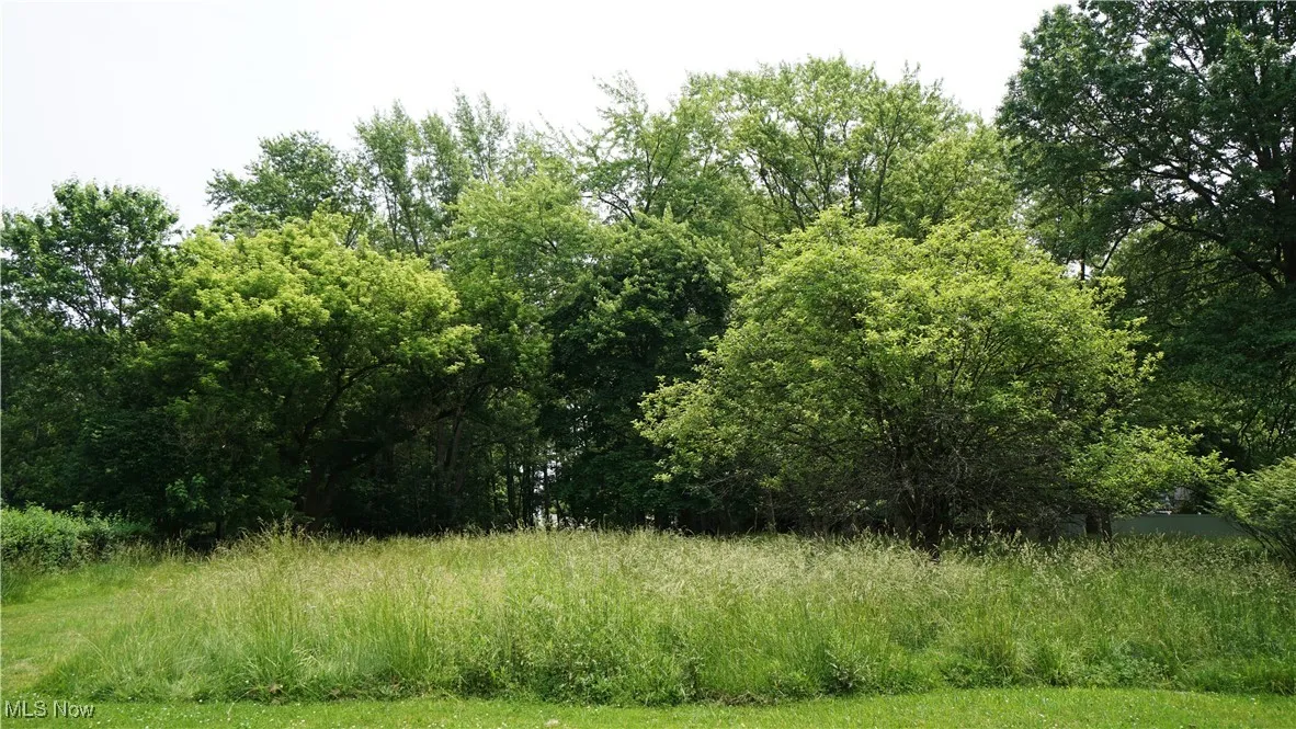 View of wooded back of lot