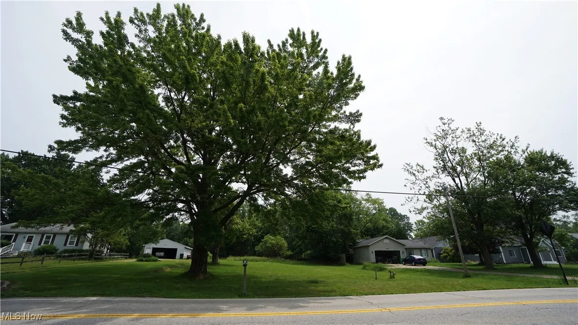 Street view of lot and large tree