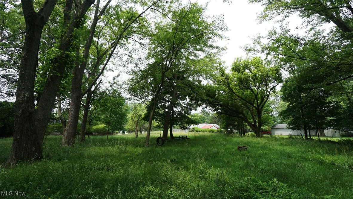 View from wood area looking back to front of lot