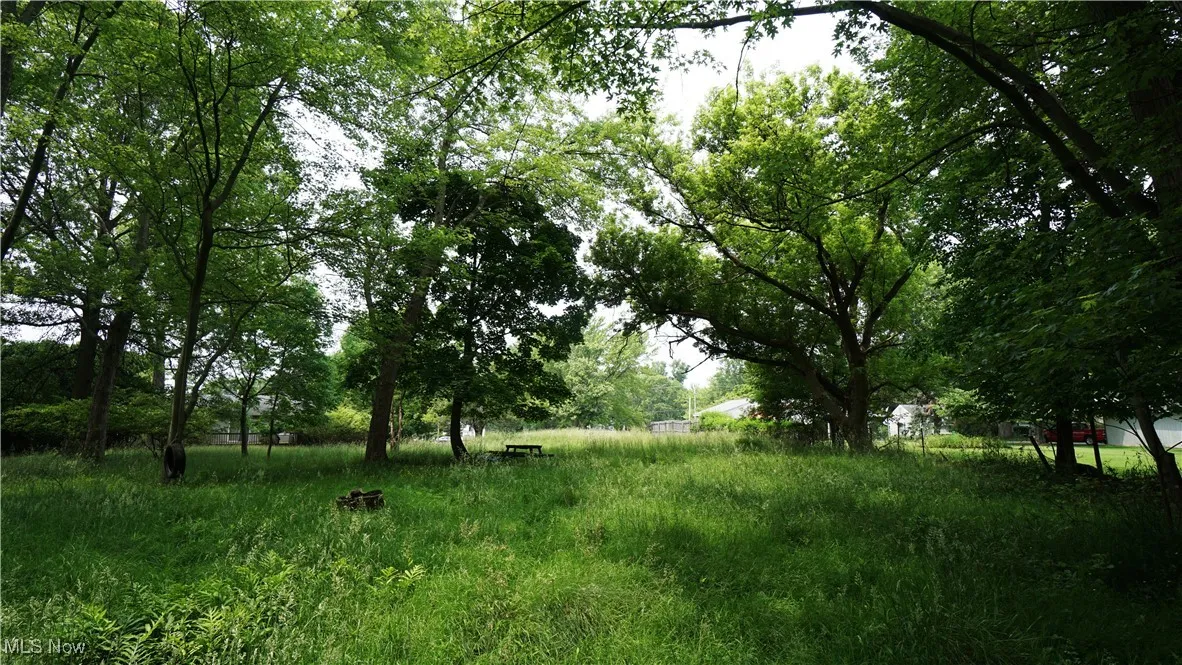 View from wood area looking back to front of lot