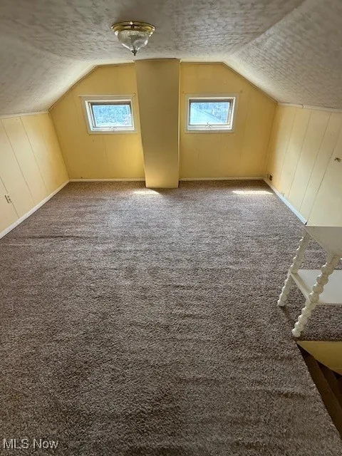 Additional living space featuring vaulted ceiling, a textured ceiling, plenty of natural light, and carpet floors