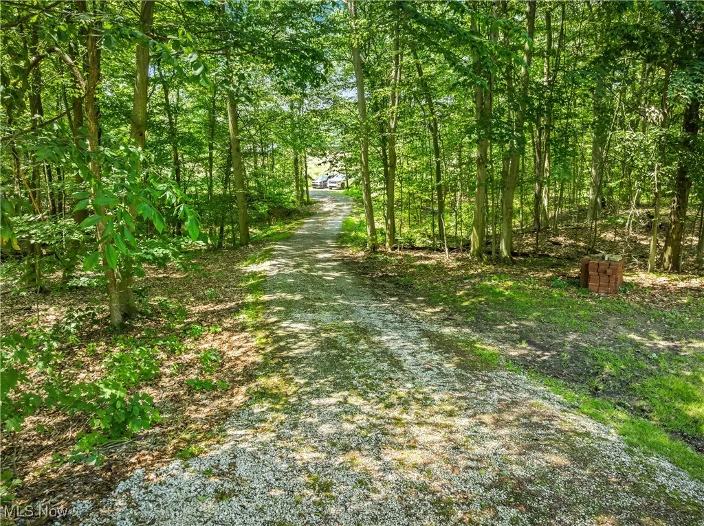 View of dirt / gravel road