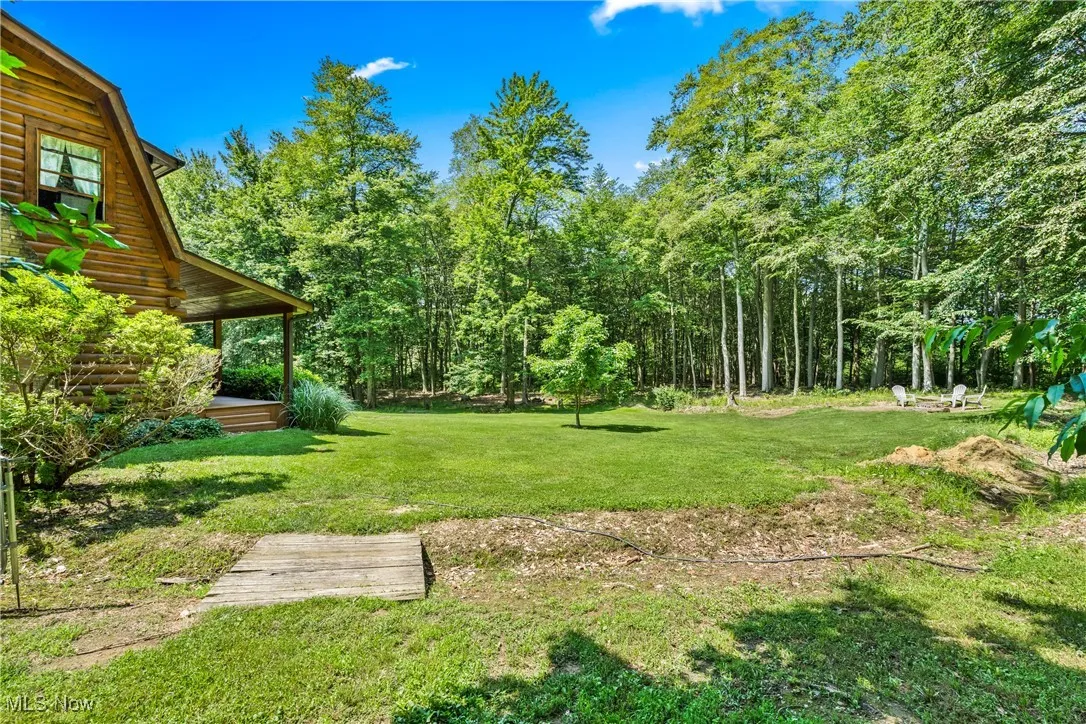 View of grassy yard