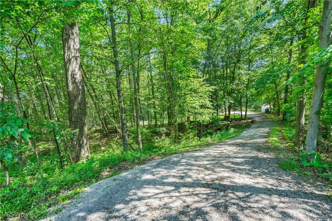View of street with a view of trees