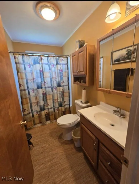 Full bathroom with vanity, crown molding, and curtained shower