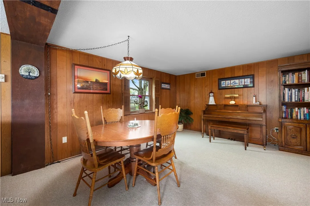 family room/bonus room in bottom level