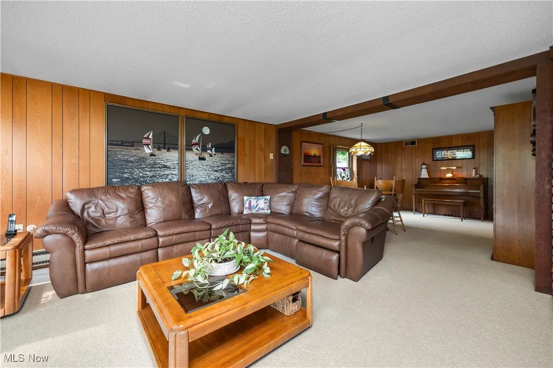Family room bonus room/ bottom level