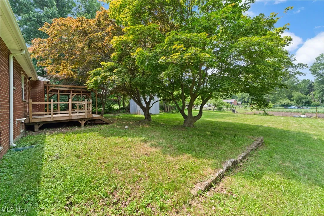 Large Backyard