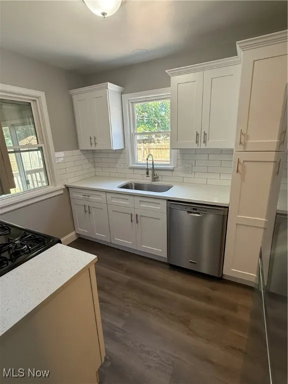 Kitchen with dishwasher, white cabinetry, dark wood-style floors, and light countertops