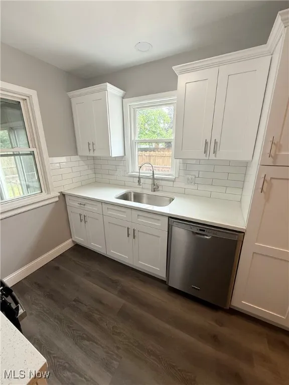 Kitchen featuring stainless steel dishwasher, white cabinetry, light countertops, tasteful backsplash, and dark wood-style flooring