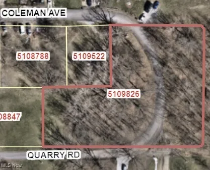 2077 Coleman Avenue, Akron, Ohio,MLS Now Listing ID