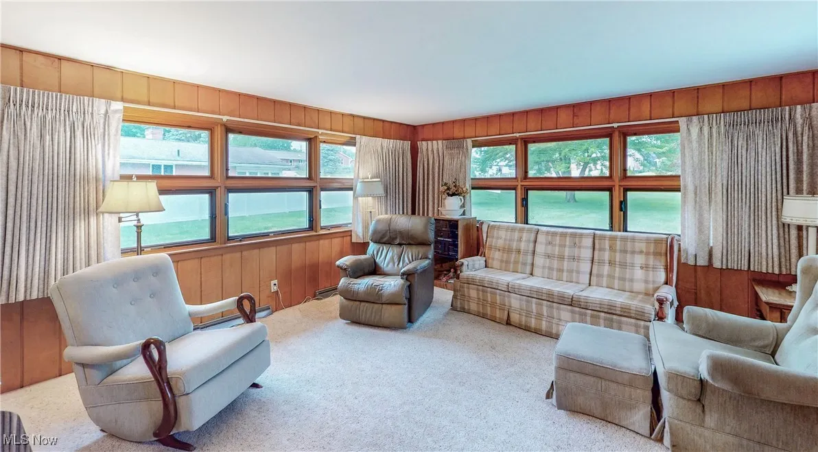 Living area featuring wooden walls, carpet, and plenty of natural light