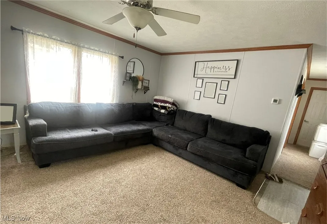Living area featuring carpet, ornamental molding, and ceiling fan